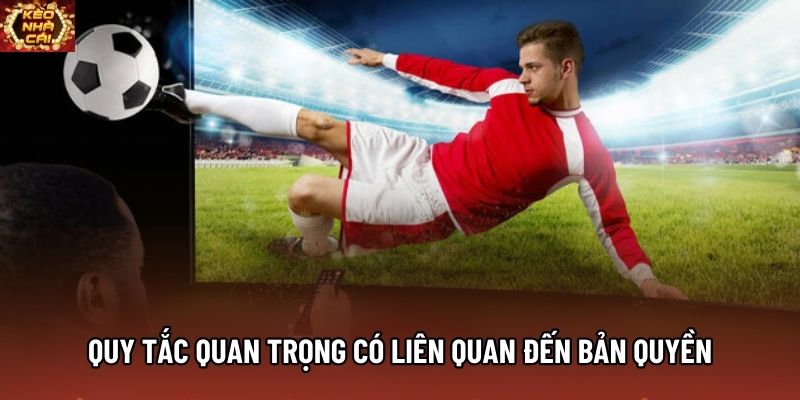 Quy tắc quan trọng có liên quan đến bản quyền